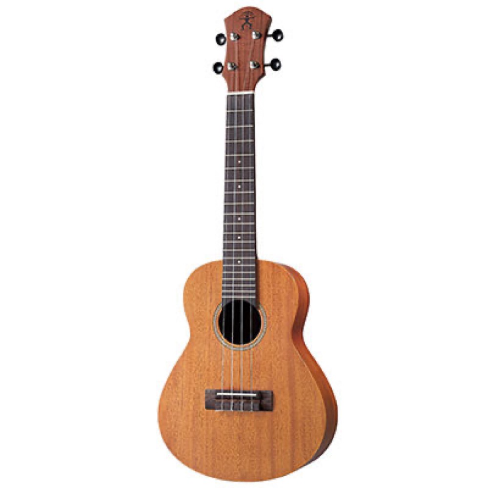 aNueNue NN-C30 Hawaiian Dream Africa Mahogany II コンサートウクレレ
