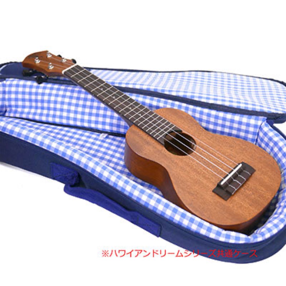 aNueNue NN-C30 Hawaiian Dream Africa Mahogany II コンサートウクレレ ケース、本体画像