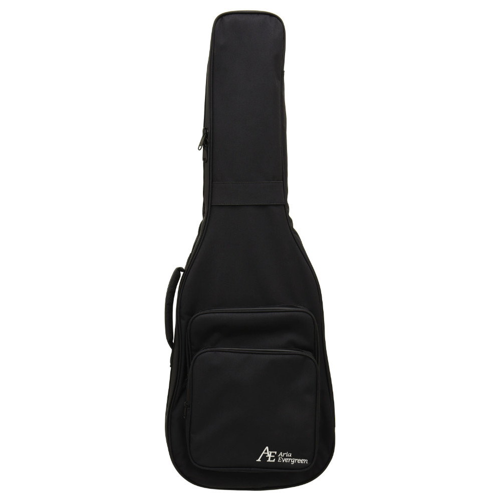 AriaProII PE-AE200 LRBL Aria Evergreen エレキギター 付属品画像