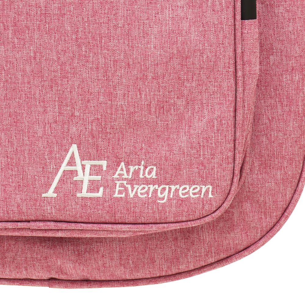 AriaProII PE-AE200 MP Aria Evergreen エレキギター AEロゴ画像