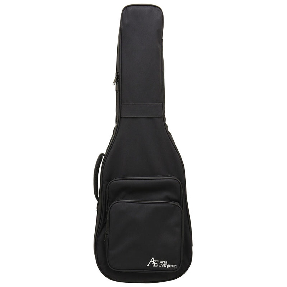 AriaProII PE-AE200 YG Aria Evergreen エレキギター ケース