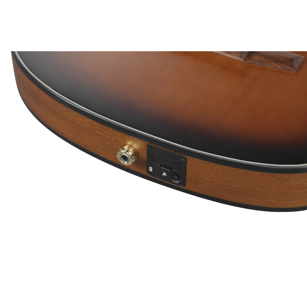 Ibanez FRH10N-BSF エレガットギター インプットジャック画像