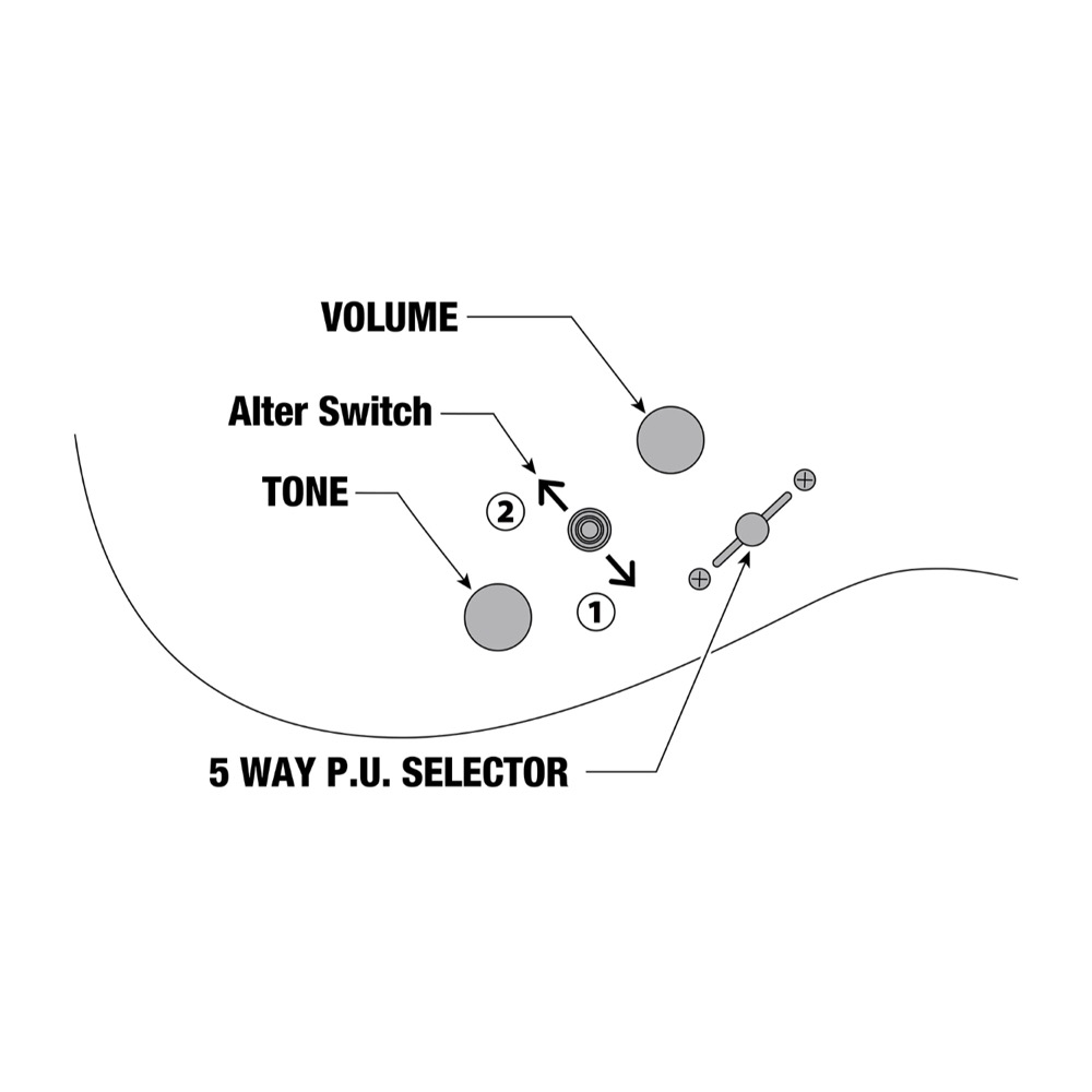 IBANEZ SML721-RGC Axe Design Lab Rose Gold Chameleon エレキギター コントロール図画像