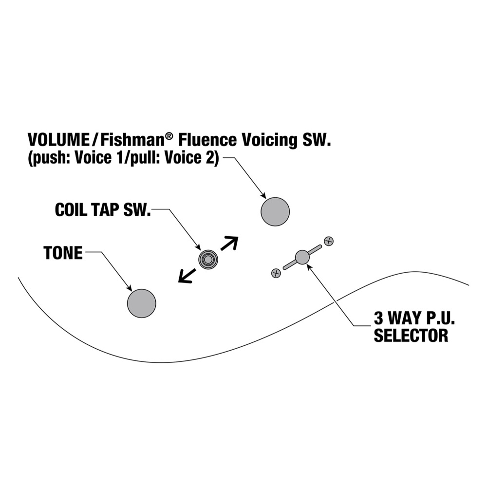 IBANEZ RG9PB-TGF Axe Design Lab Transparent Gray Flat 9弦エレキギター コントロール図画像