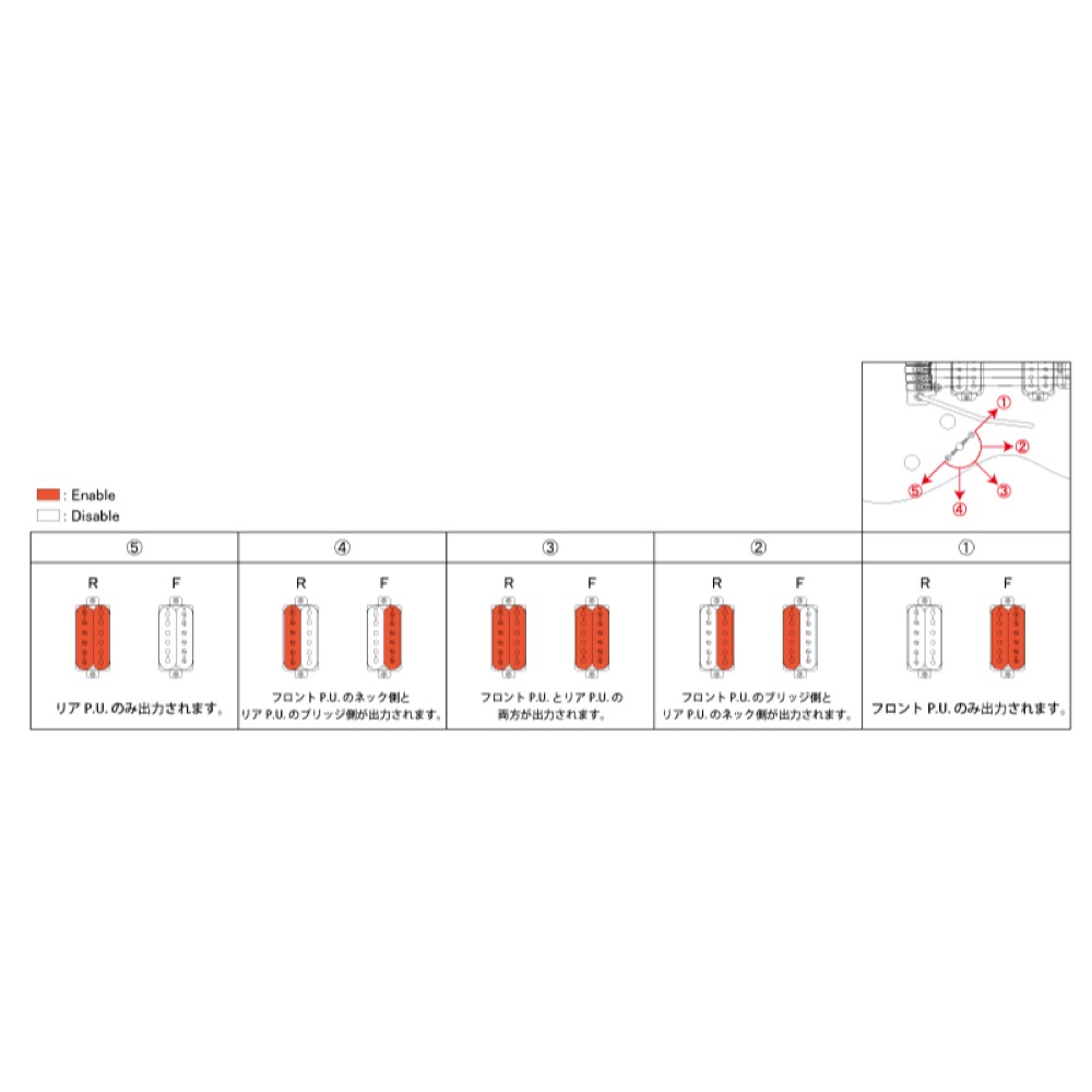 FERNANDES フェルナンデス NTG-LTD WN エレキギター 詳細画像
