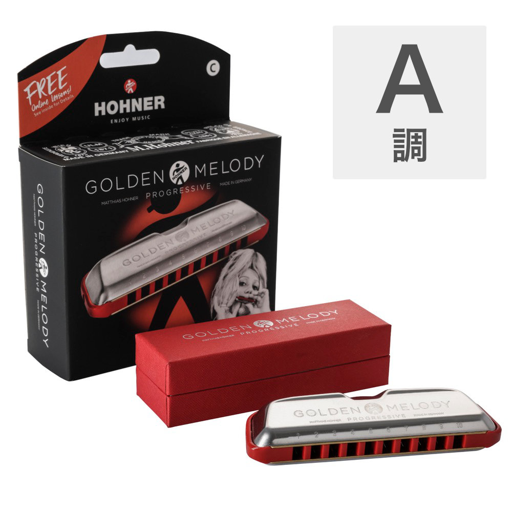 HOHNER ホーナー Golden Melody Progressive A 10ホールハーモニカ
