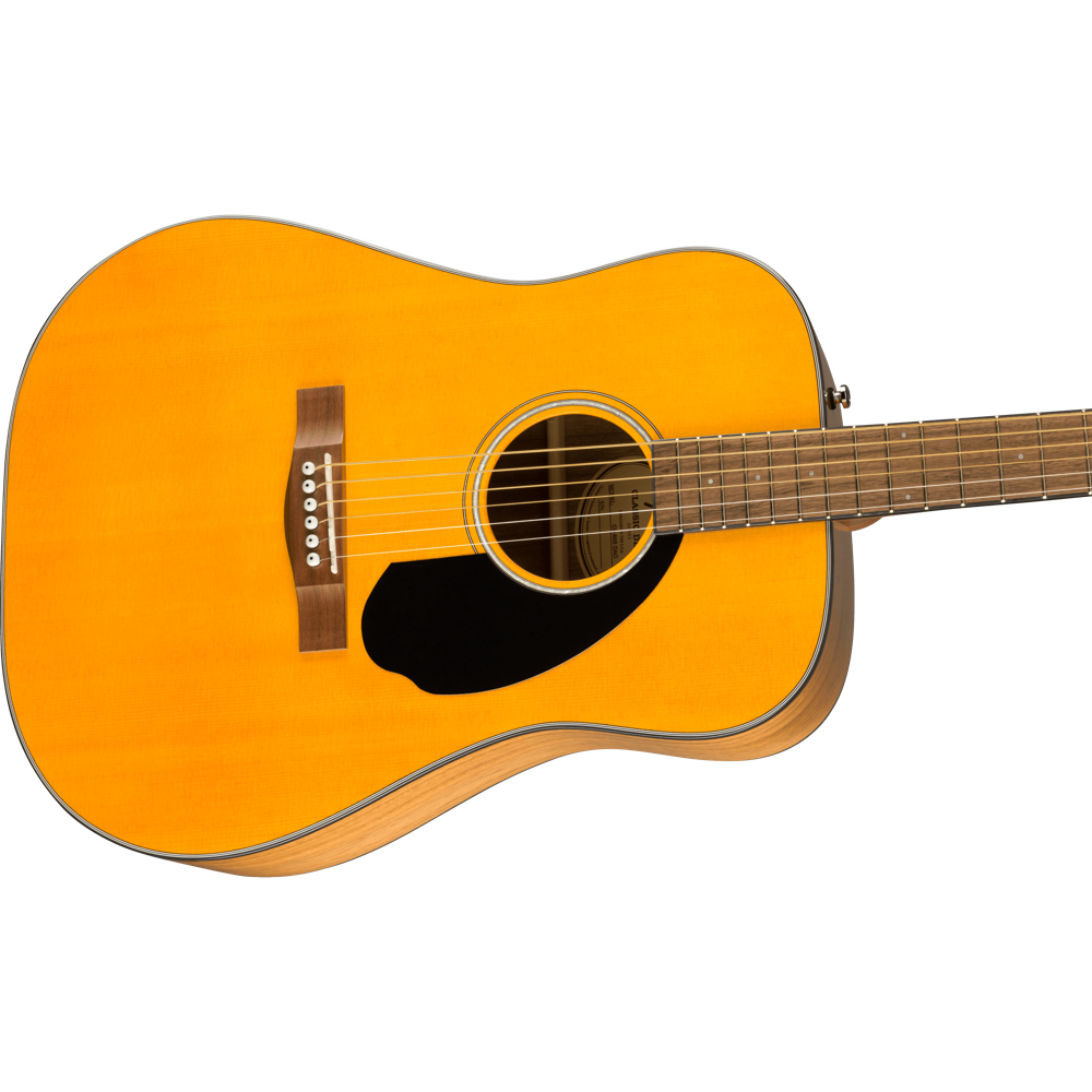 Fender フェンダー Limited Edition CD-60S Exotic Dao Dreadnought AGN WN アコースティックギター ボディ画像