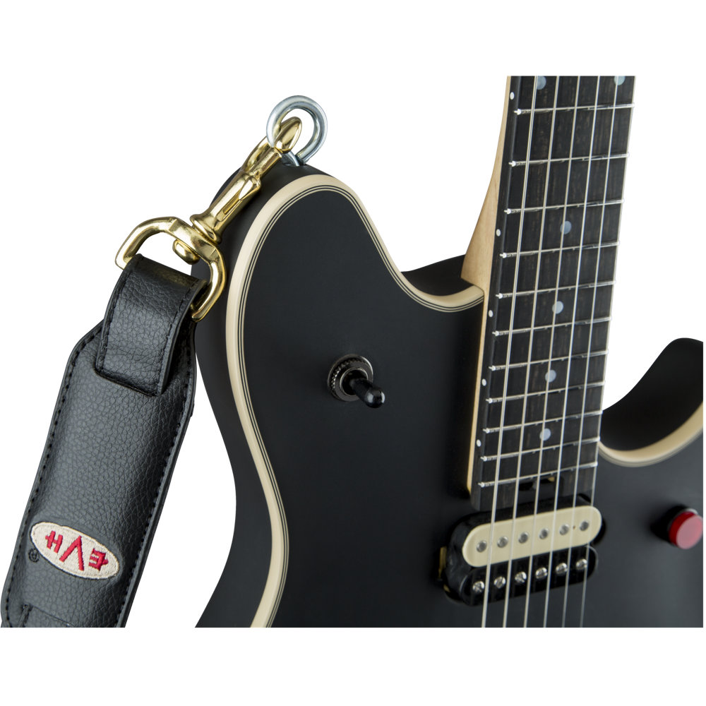 EVH イーブイエイチ Wolfgang USA Edward Van Halen Signature Ebony Fingerboard Stealth エレキギター アイフック