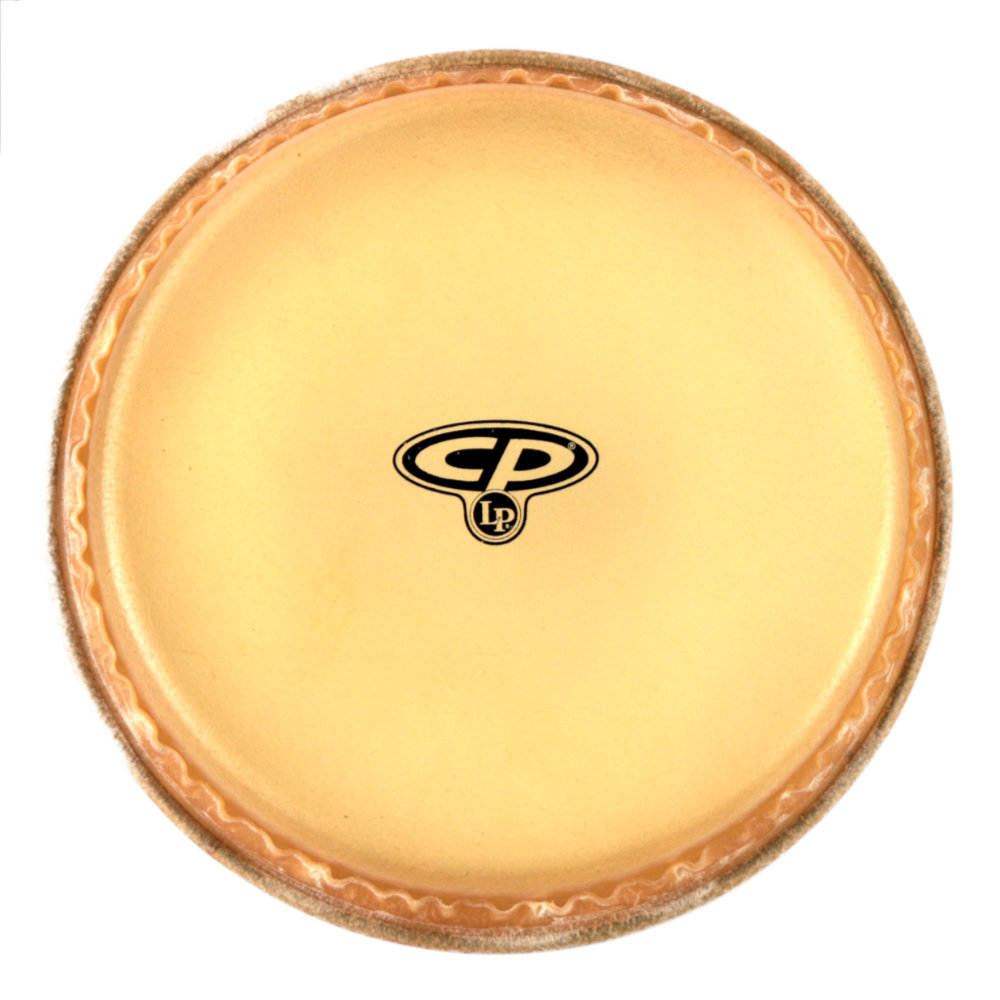 LP CP265B CP 11 MTD CONGA HEAD コンガヘッド