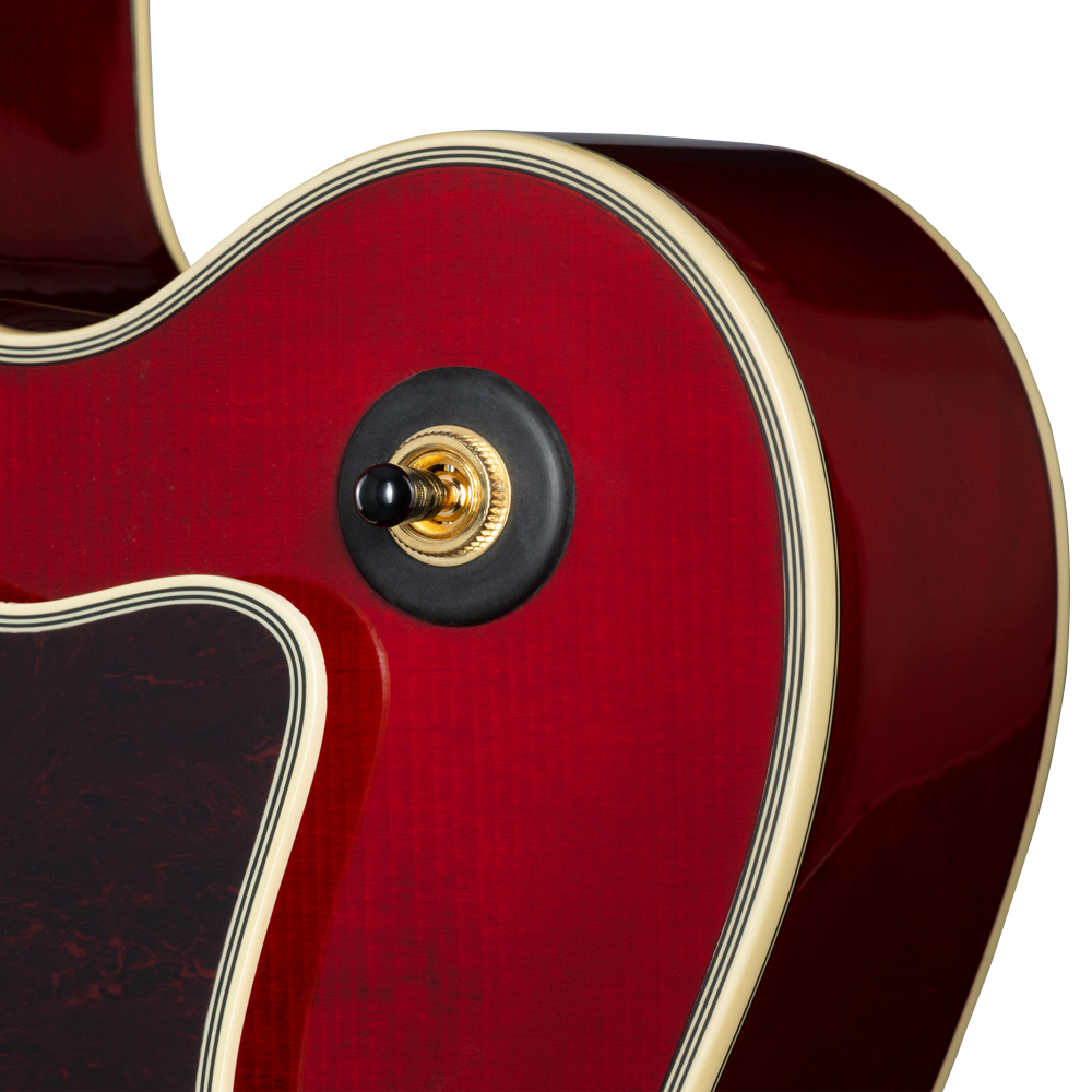 Epiphone エピフォン Broadway Wine Red エレキギター ポット画像2