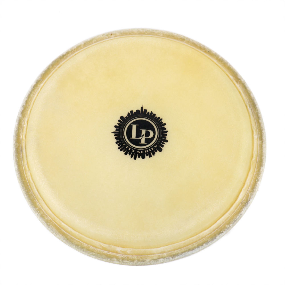 LP LP267B 11 in CITY CONGA HEAD コンガヘッド