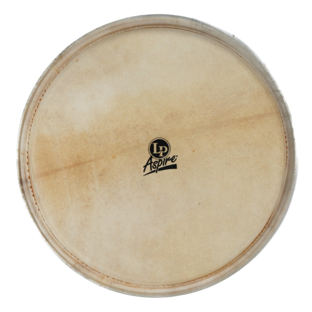 LP LPA630A DJEMBE HEAD 12 1/2 for LPA630 & Caliente ジャンベヘッド