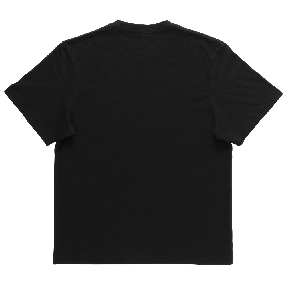 IBANEZ アイバニーズ IBAT012M Paul Gilbertデザイン Mサイズ Tシャツ 半袖 背面画像