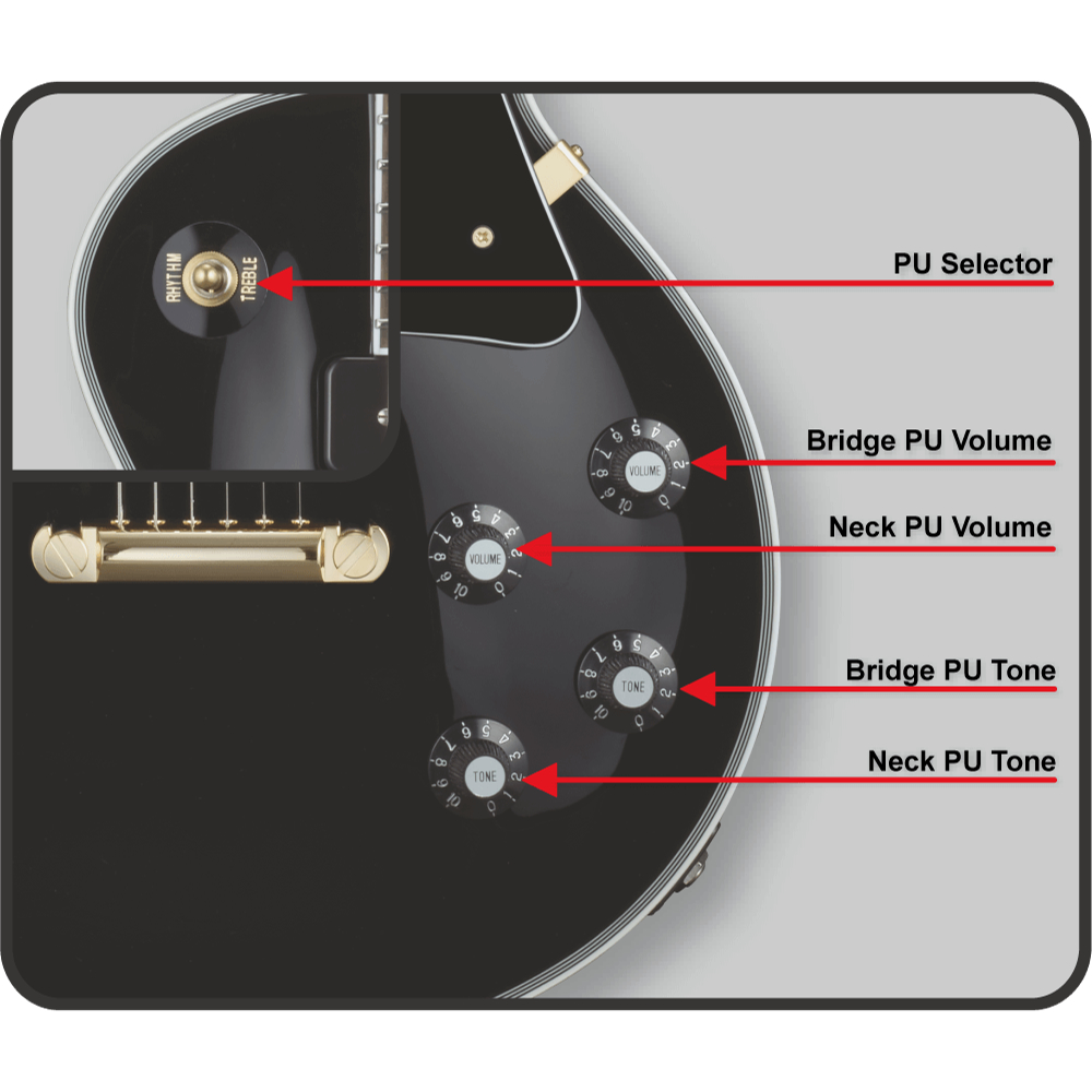 EDWARDS エドワーズ E-LP-CTM/P Cherry エレキギター コントロール画像