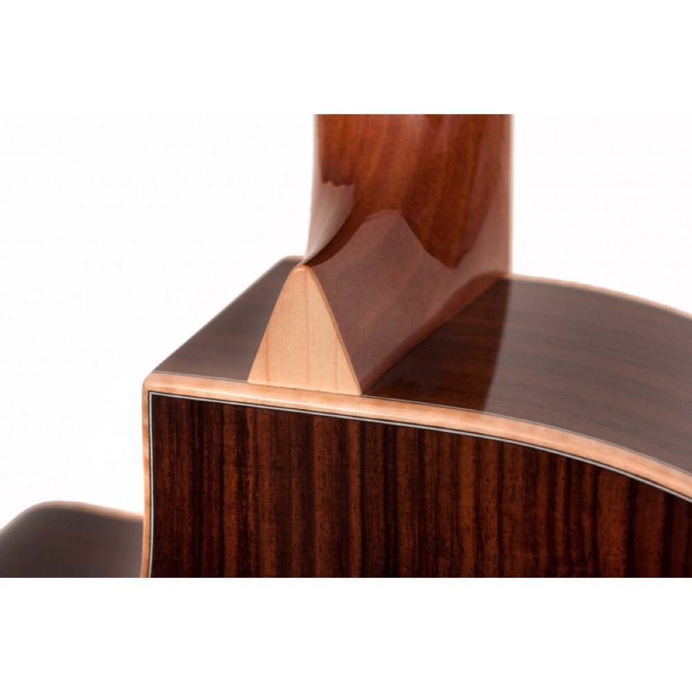 Larrivee ラリビー LV-10 Deluxe Series アコースティックギター 詳細画像