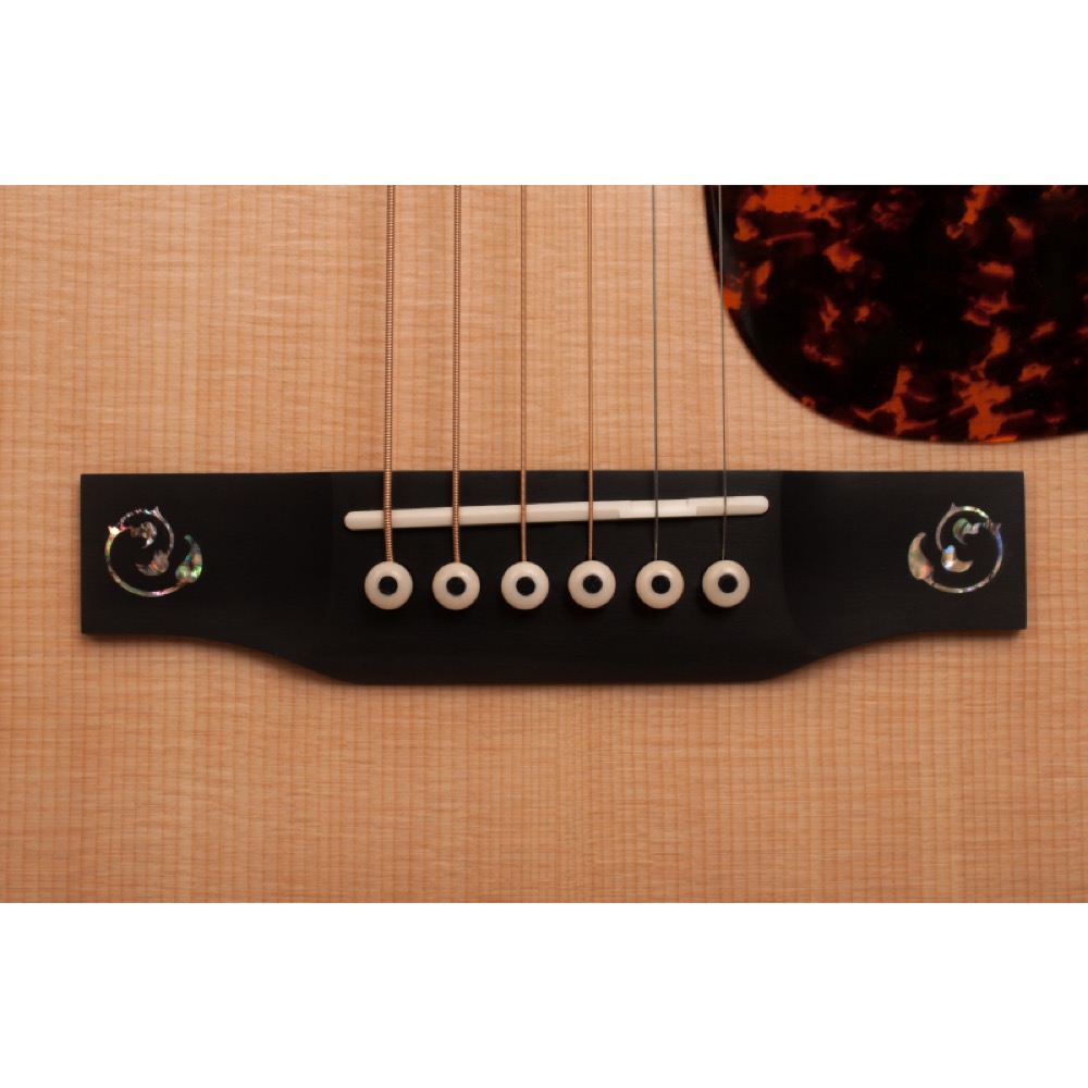 Larrivee ラリビー LV-10 Deluxe Series アコースティックギター 詳細画像