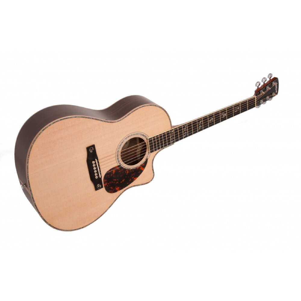 Larrivee ラリビー LV-10 Deluxe Series アコースティックギター 詳細画像