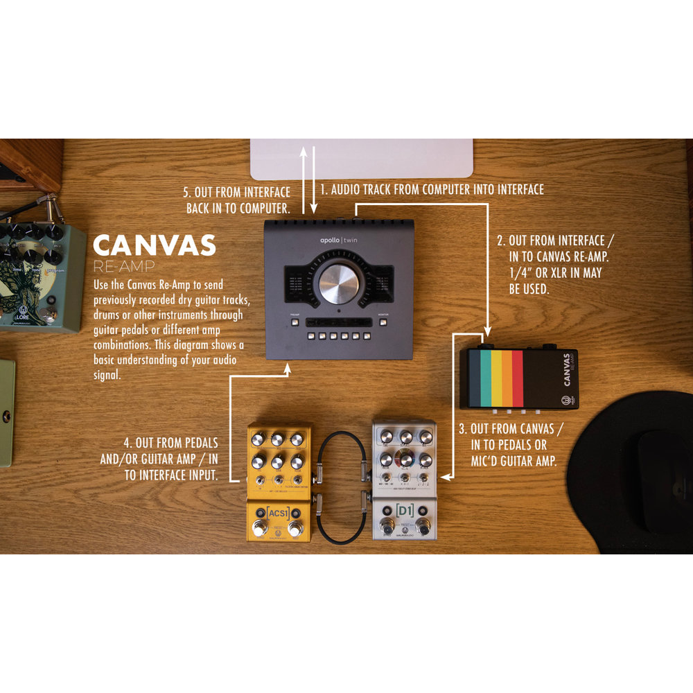 WALRUS AUDIO ウォルラスオーディオ Canvas Passive Re-Amp パッシブスタジオリアンプツール 接続例