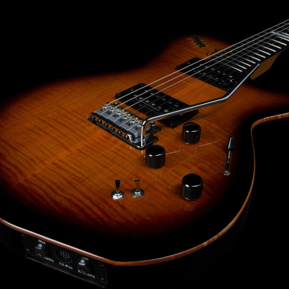 Godin ゴダン LGXT Cognac Burst Flame AA エレキギター ボディトップ画像