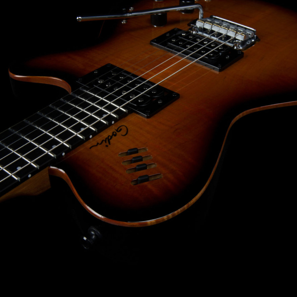 Godin ゴダン LGXT Cognac Burst Flame AA エレキギター コントロール画像
