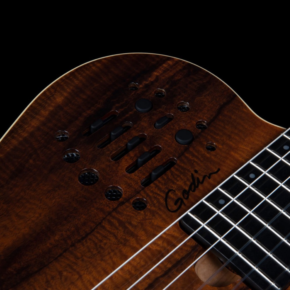 Godin ゴダン ACS Nylon KOA Extreme HG ナイロン弦 エレガットギター コントロール画像