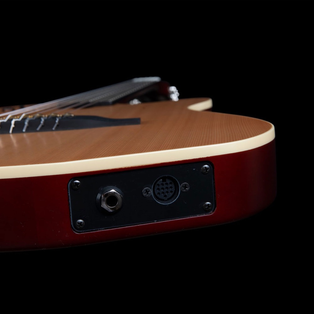 Godin ゴダン ACS Nylon Natural SG ナイロン弦 エレガットギター プラグアウト画像