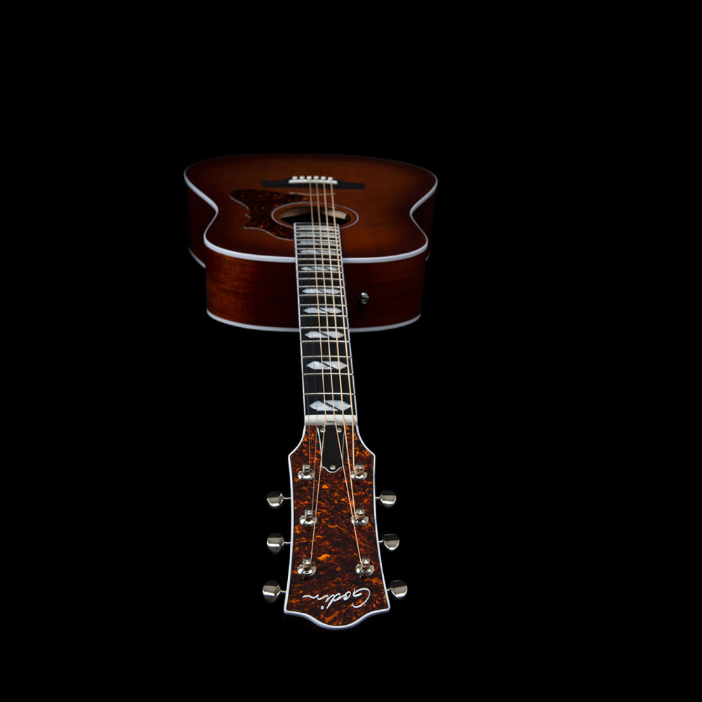 Godin ゴダン Metropolis LTD HG Havana Burst エレクトリックアコースティックギター ヘッド画像