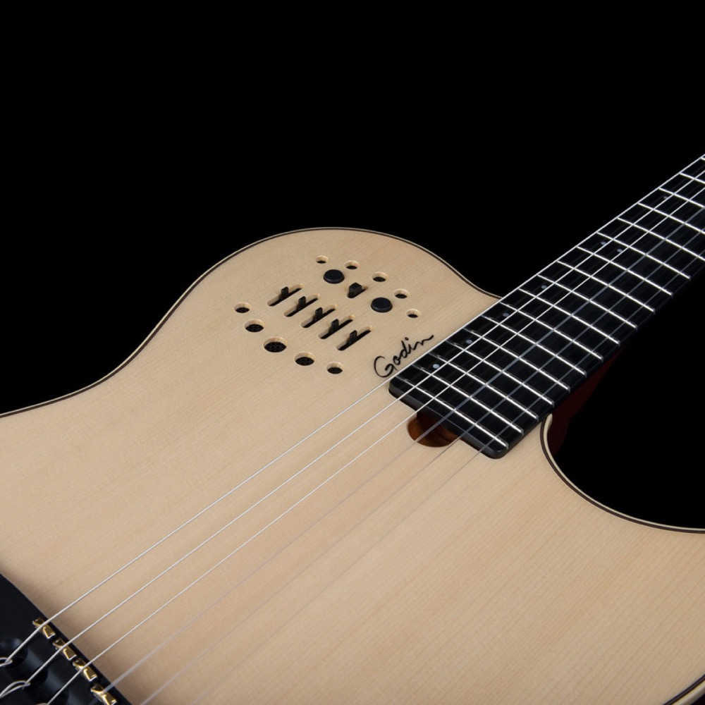 Godin ゴダン Multiac Nylon String Natural HG ナイロン弦 エレガットギター コントロール画像