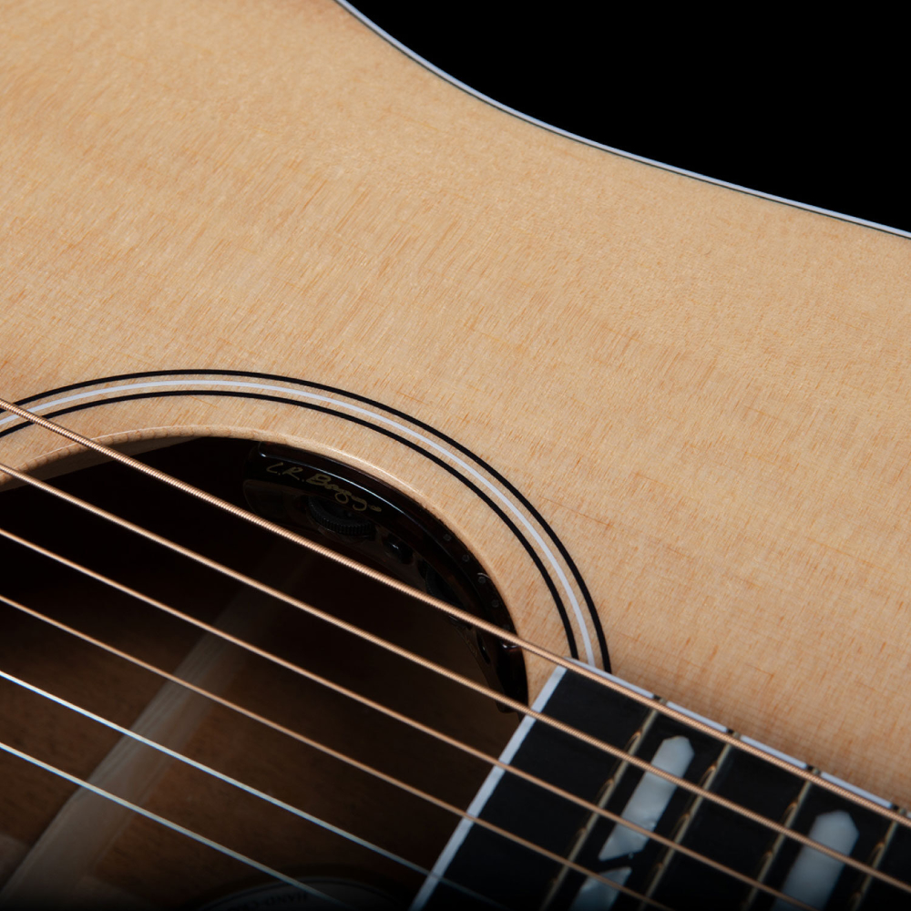 Godin ゴダン Metropolis LTD HG Natural エレクトリックアコースティックギター コントロール画像