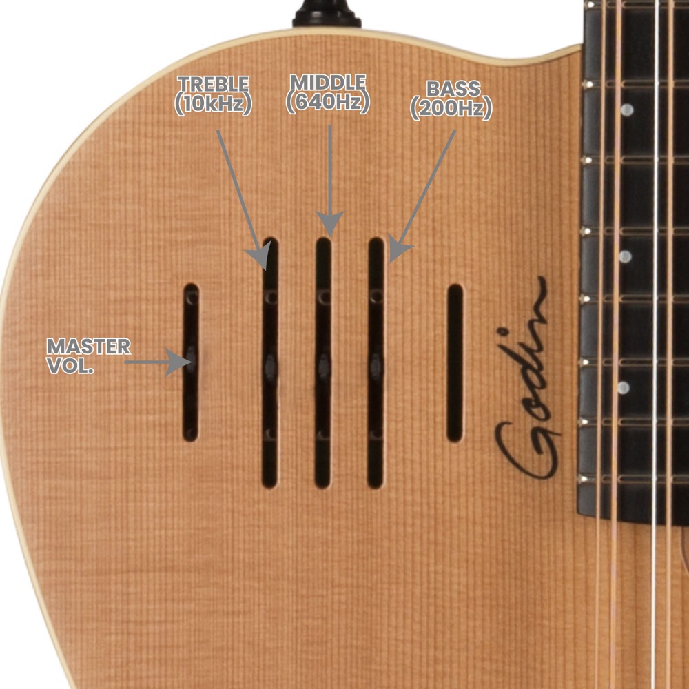 Godin ゴダン A12 Natural SG 12弦 エレクトリックアコースティックギター コントロール詳細画像