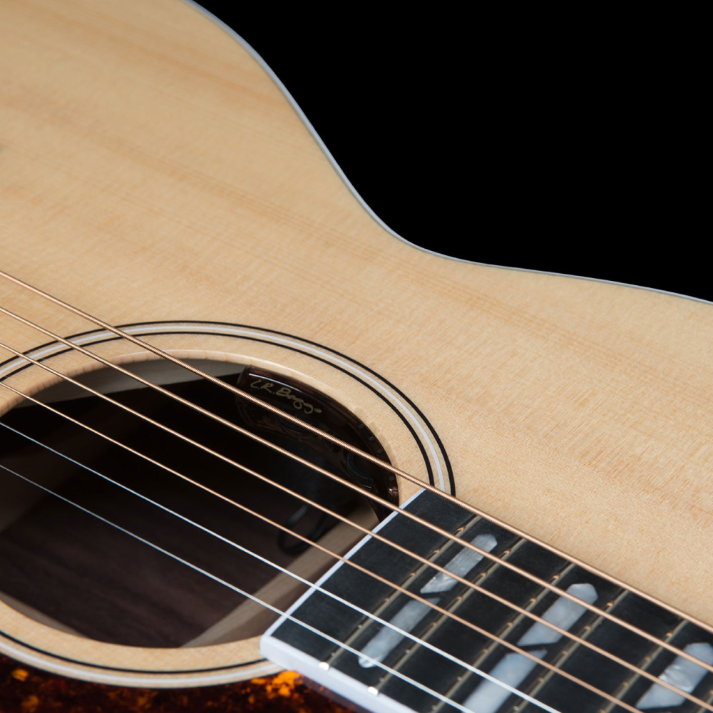 Godin ゴダン Fairmount CH LTD Rosewood HG EQ エレクトリックアコースティックギター コントロール画像