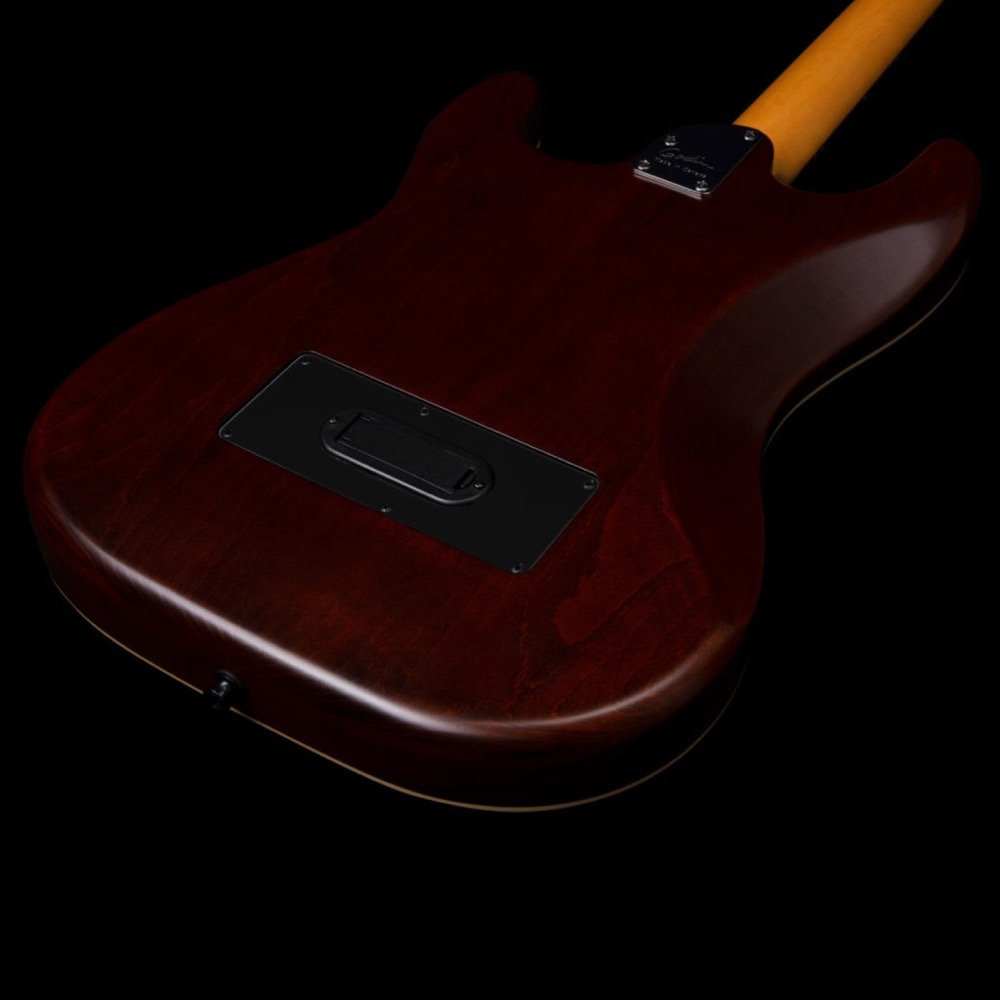 Godin ゴダン G-Tour Nylon Matte Black EQ ナイロン弦 エレガットギター 平置きバック画像