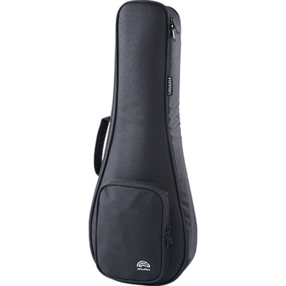 aNueNue アヌエヌエ aNN-SS1 ソプラノウクレレ トップ材スプルース単板 ケース画像