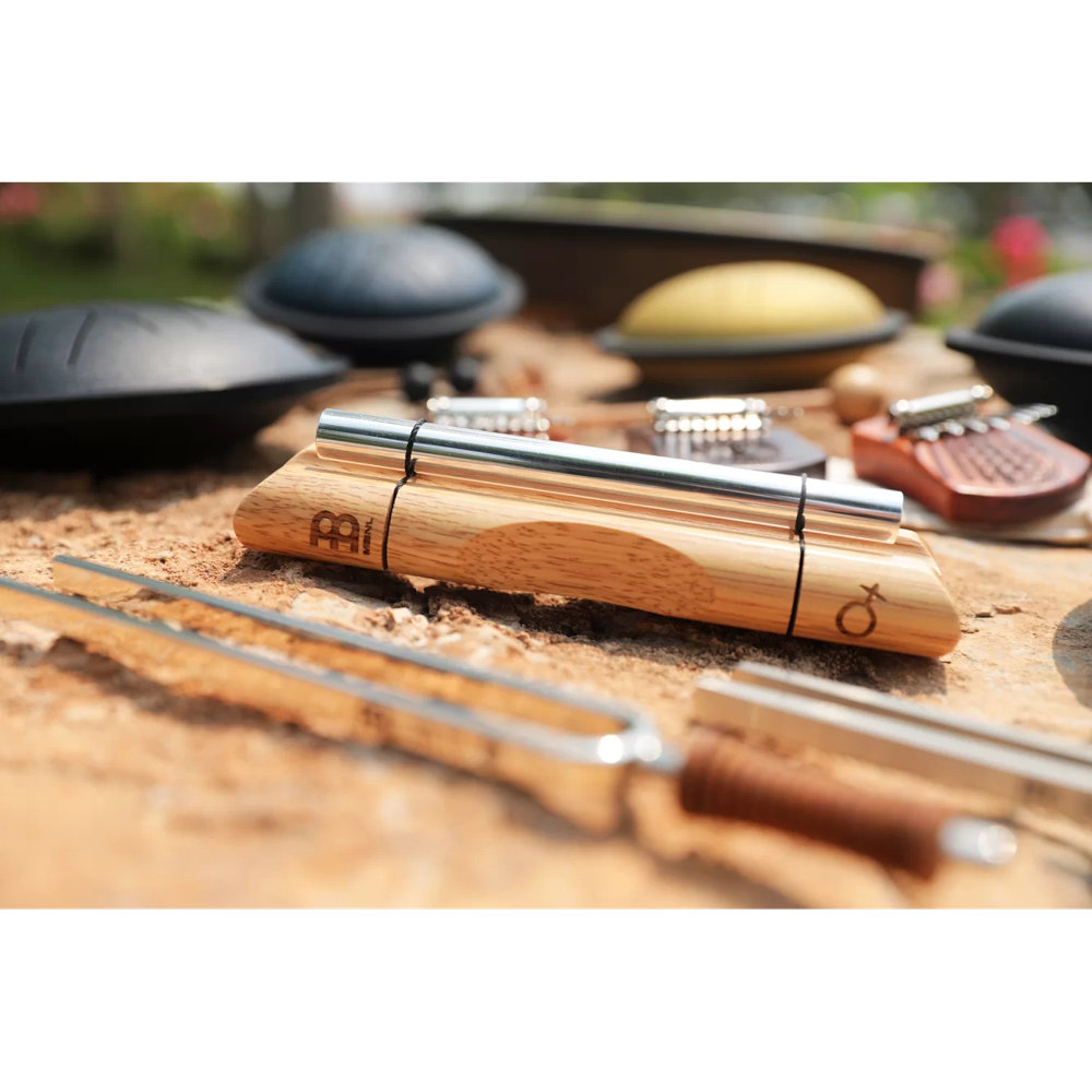 MEINL マイネル Sonic Energy EC-E-PL PLANETARY TUNED ENERGY CHIME エナジーチャイム 他のアイテムと本体