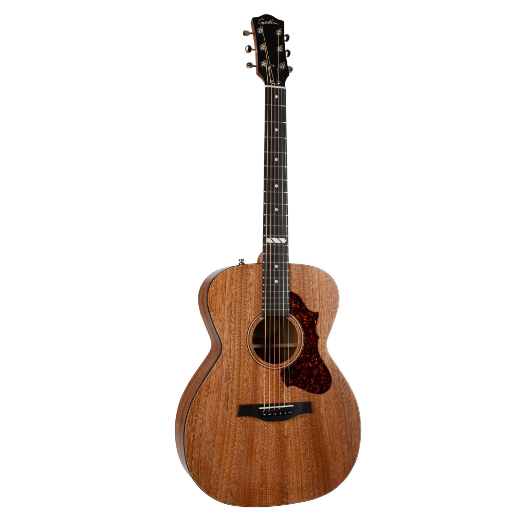 Godin ゴダン Fairmount Concert Hall Composer EQ エレクトリックアコースティックギター アングル画像