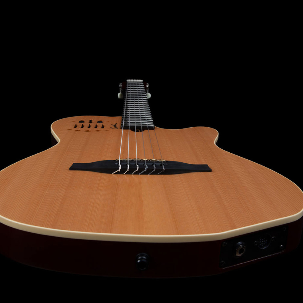 Godin ゴダン ACS SLIM Nylon Natural SG エレガットギター ボディトップ画像
