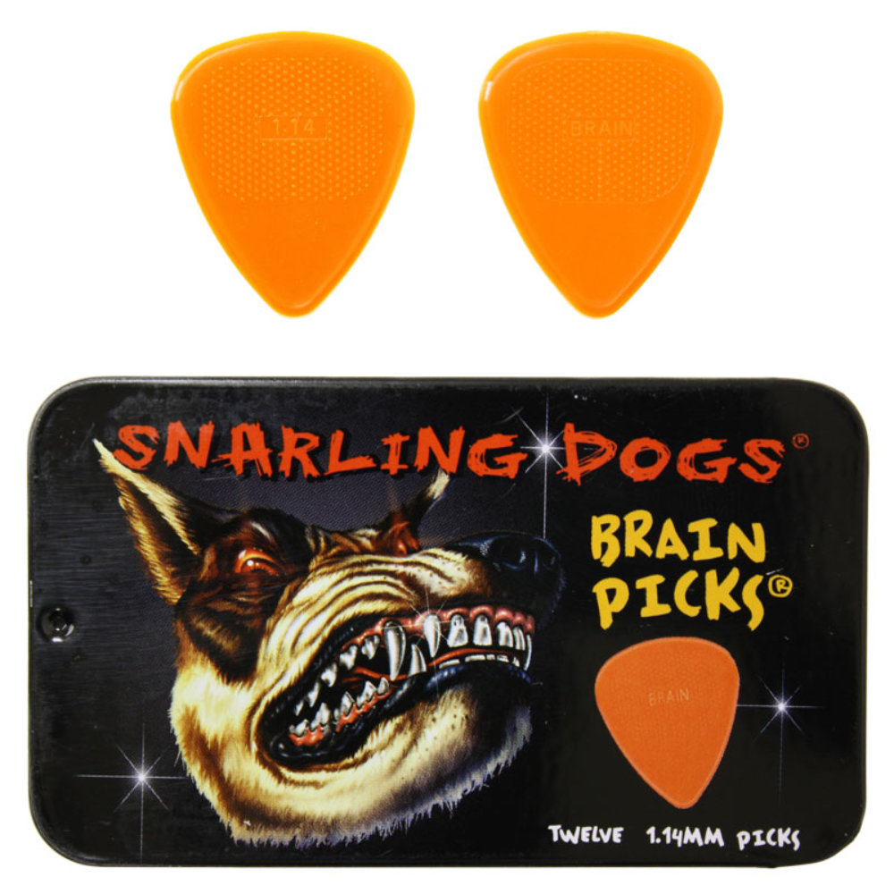 D’Andrea ダンドレア BRAIN PICKS Pick Set TNSDB351 1.14 ピックケース付きギターピック12枚セット