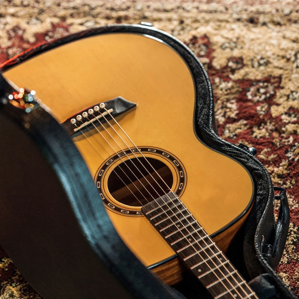 Washburn ワッシュバーン F5 アコースティックギター イメージ画像3