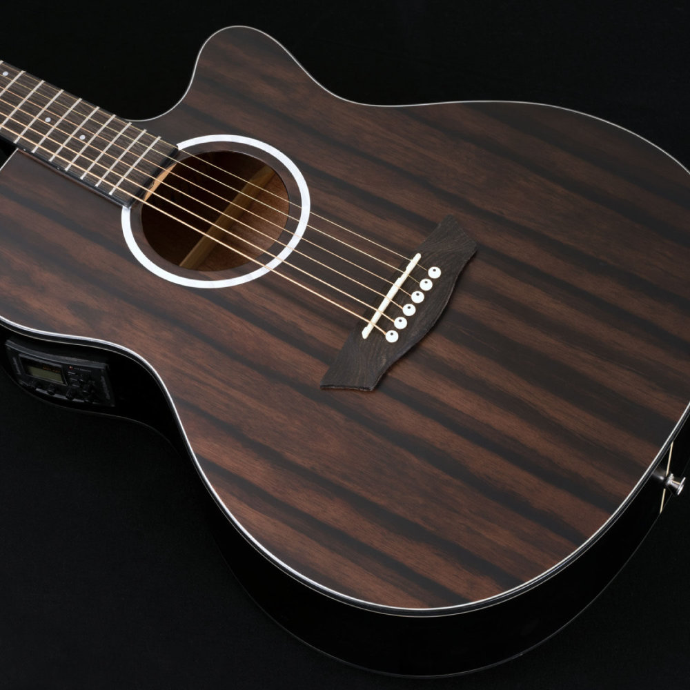 Washburn ワッシュバーン DFEACE-U EBONY ACE エレクトリックアコースティックギター トーンウッドストライプエボニーを採用
