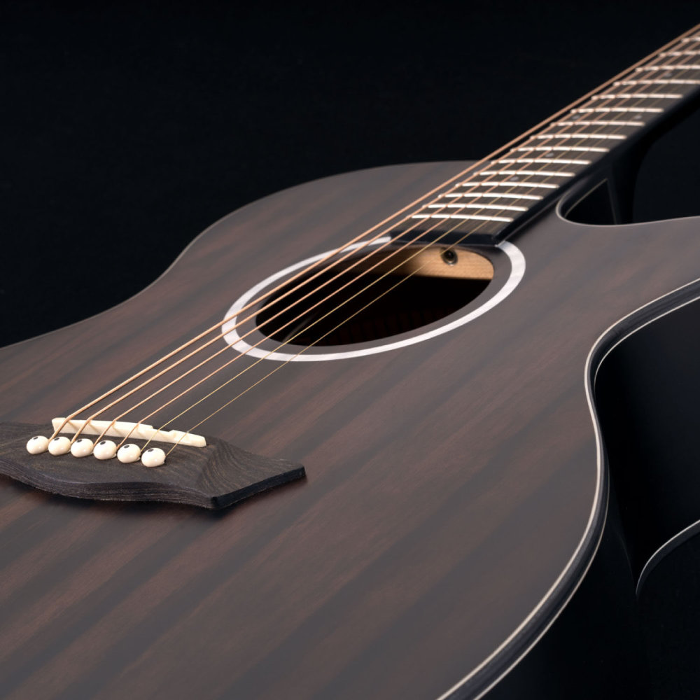 Washburn ワッシュバーン DFEACE-U EBONY ACE エレクトリックアコースティックギター トラスロッド、サウンドホール