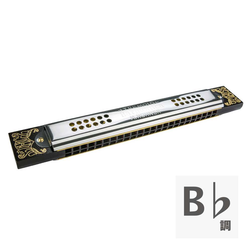 HOHNER ホーナー リプレイスメント用ハーモニカ 53/48 B♭ トレモロハーモニカ
