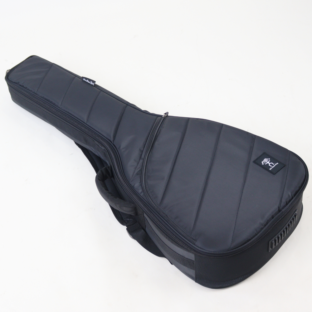 aNueNue アヌエヌエ Bird Guitar aNN-M52 アコースティックギター ケース画像