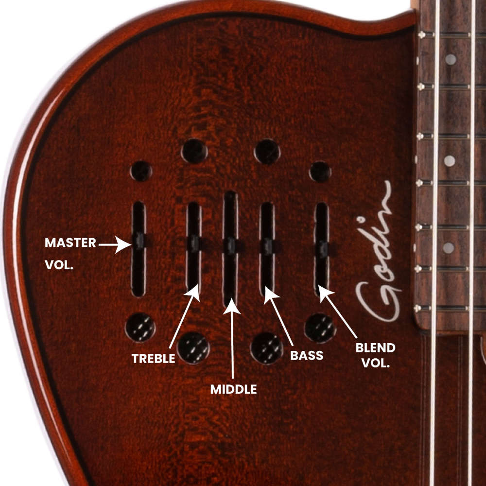 Godin ゴダン Multiac Mundial Kanyon Burst ナイロンギター コントロール