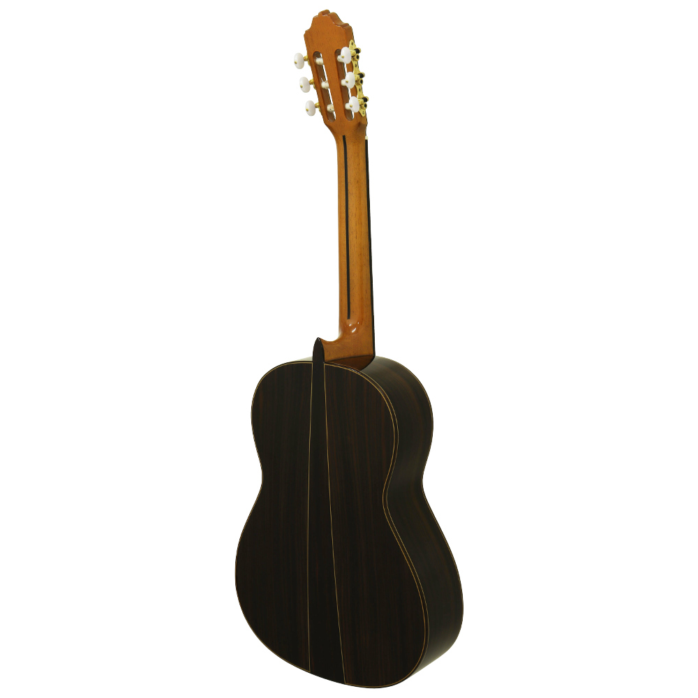 Esteve エステベ 8 Spr Classic Guitars クラシックギター バック画像