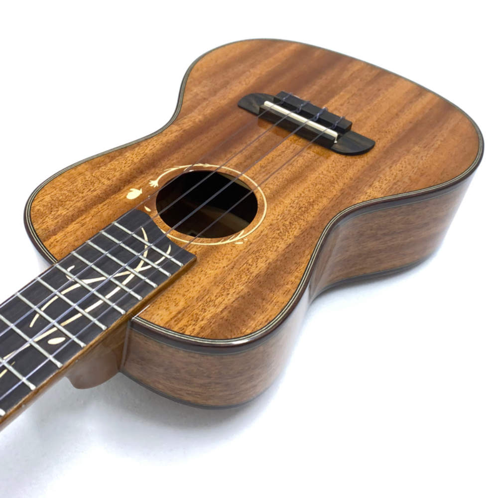 Kai Ukulele KC-MBF コンサートウクレレ オール単板 ソフトケース付き カイ ウクレレ 初心者 ボディトップ