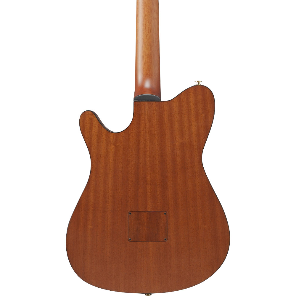 IBANEZ アイバニーズ FRH10N-IBF Nylon Electric Guitar IBF ナイロン弦 エレガットギター ボディバック画像
