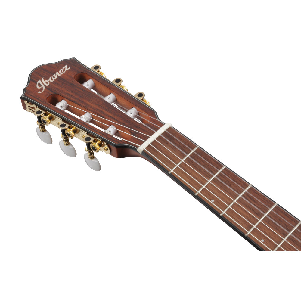 IBANEZ アイバニーズ FRH10N-RGF Nylon Electric Guitar RGF ナイロン弦 エレガットギター ヘッド画像