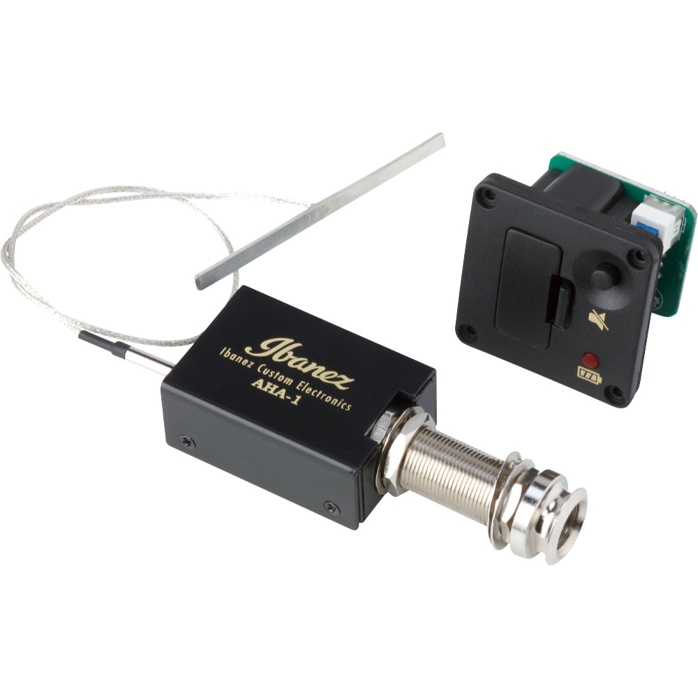 IBANEZ アイバニーズ FRH10N-RGF Nylon Electric Guitar RGF ナイロン弦 エレガットギター ピックアップ画像