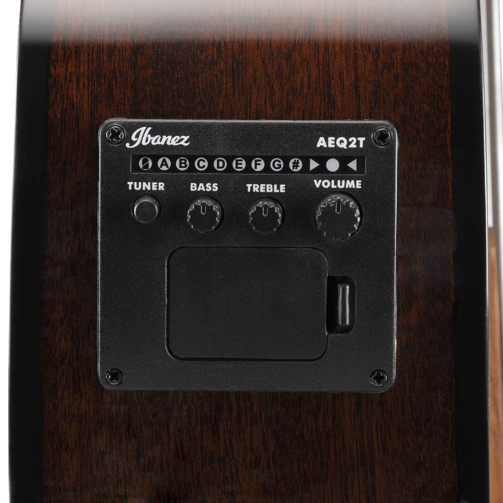 IBANEZ アイバニーズ AEGB24FE-MHS フレットレス エレクトリックアコースティックベース ピックアップ画像