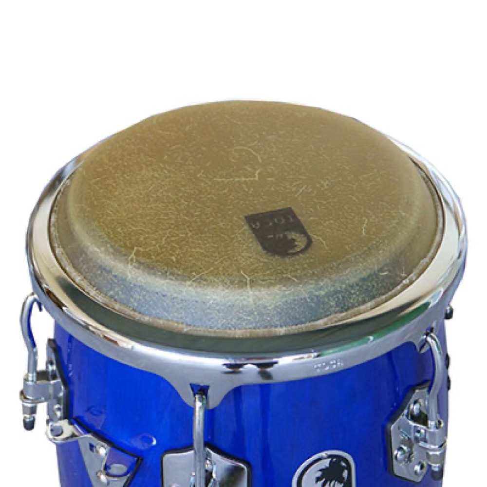 Toca トカ　コンガ／キントのセット Toca トカ コンガ／キントのセット 楽天市場】【20時からポイント8倍